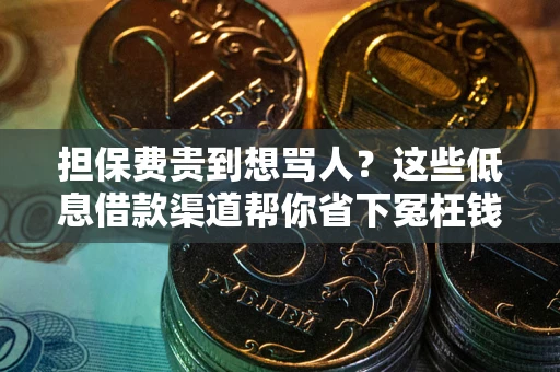 济南担保费贵到想骂人？这些低息借款渠道帮你省下冤枉钱