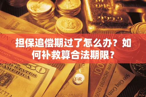 济南担保追偿期过了怎么办？如何补救算合法期限？