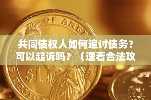 济南共同债权人如何追讨债务？可以起诉吗？（速看合法攻略）